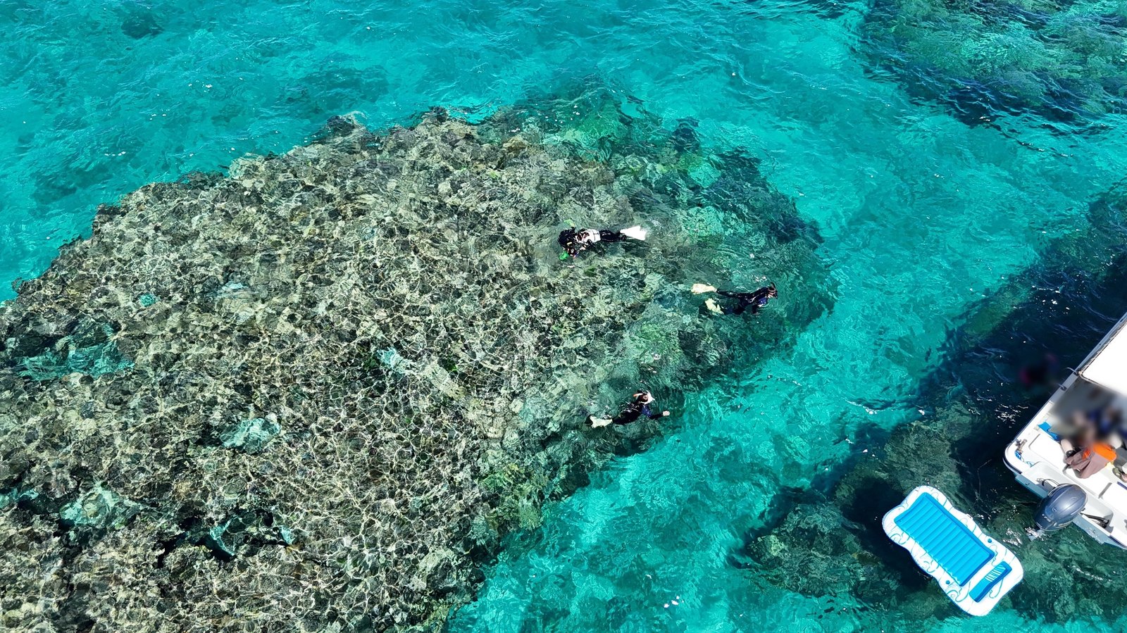Three snorkellers spread out over a single coral head at Chibishi, seen from above